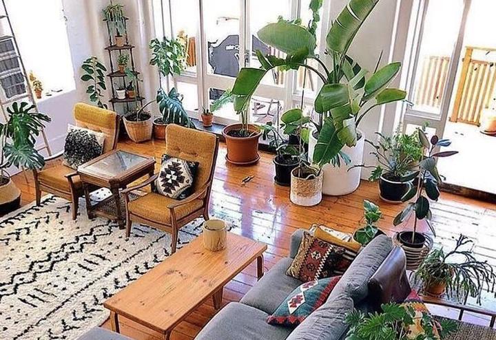 新股前瞻|云天励飞赴港IPO的期待：将借助英伟、华为昇腾腾飞？