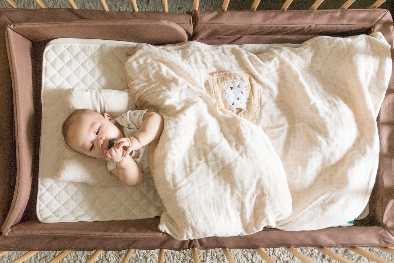 “湛江:中国海鲜美食之都解码之旅”榜上有名